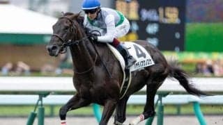 令和のグリーングラスとなれ 48年ぶり快挙狙う青森産馬が菊花賞に参戦だ
