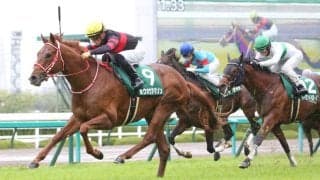 ホウオウアマゾンの競走馬登録抹消