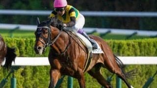 ディープ最終世代の2億円馬 リフレッシュ経てガラリ一変なるか