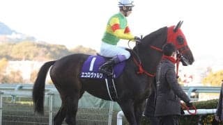 【競馬予想】菊花賞は「荒れる」穴党記者は異なる展開によって浮上する２頭の伏兵に注目