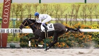 【京都1R】武豊マジカルシャインが完勝…カトリックボーイ産駒