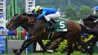 【スワンS登録馬】オフトレイルなど19頭