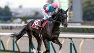 【富士S】売上は48億9599万9300円で昨年より約3億円増加