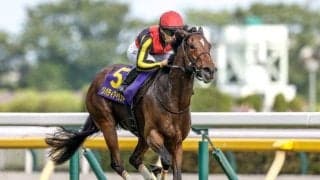 【天皇賞(秋)見どころ】女傑リバティアイランドの底力を支持