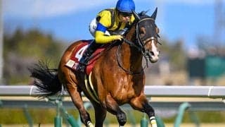 【豪・コックスプレート枠順】日本のプログノーシスは5番ゲート 陣営「一番欲しかった枠」