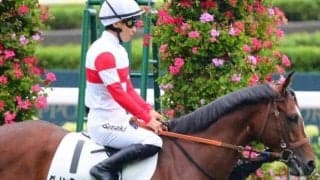 2億6000万円馬の良血馬 今週来日の名手で待望の初勝利なるか
