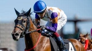 【ファンタジーS想定馬・騎手】カワキタマナレア、スリールミニョンなど18頭