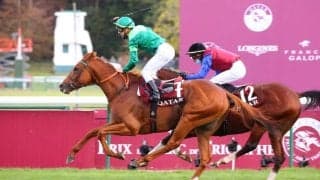 日本軽種馬協会が凱旋門賞馬・ソットサスなど新種牡馬3頭を導入