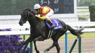 【天皇賞(秋)予想】今年も好勝負必至か 総合力が問われる“秋の盾”