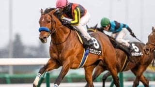 【AR共和国杯】クロミナンス、セレシオンらが登録