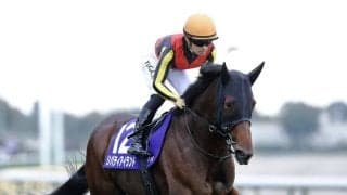 【天皇賞・秋】リバティアイランドまさかの失速で13着…レース後ジョッキーコメント