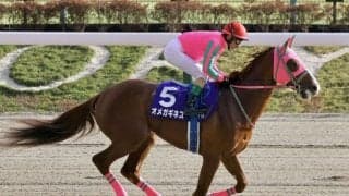 【みやこS登録馬】オメガギネスなど17頭