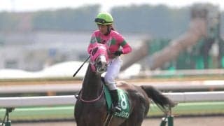 【エーデルワイス賞】ラインパシオンは6枠8番
