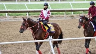 【ブリーダーズカップ】坂井瑠「与えられた枠でやるしかない」…日本馬枠順決定