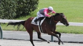 【門別・エーデルワイス賞注目馬】過去26年でJRA所属馬11勝vs地方所属馬15勝 波乱も珍しくない2歳牝馬重賞