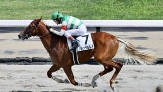 【JBC2歳優駿】グランジョルノなどJRA馬は5頭
