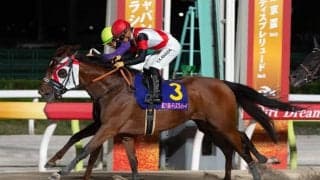 【JBCレディスクラシック】グランブリッジなどJRA馬は5頭
