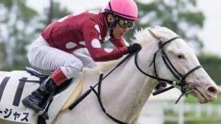 血統的に平坦×道悪は◎ 白毛のゴージャスが無敗で重賞Vだ