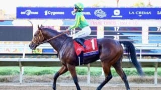 【BCジュベナイルターフ】キング騎乗 サトノカルナバルは9着に敗れる
