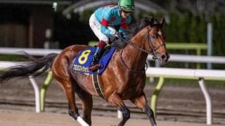 京都ダートは高速決着で前有利 プロミストウォリアの逃げ切りだ