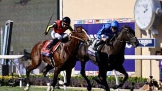 【BCターフ】レベルスロマンスが接戦を制する…ローシャムパークは惜しい2着