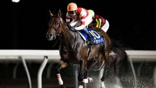 【JBCスプリント】武豊チカッパは8枠11番