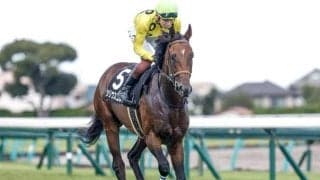 【福島記念】シリウスコルト、ドクタードリトルらが登録