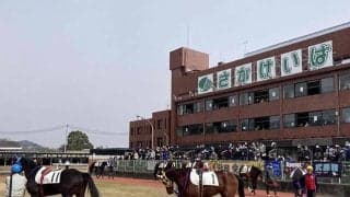【佐賀・2024九州産グランプリ結果】ルピナステソーロが重賞2勝目を挙げる