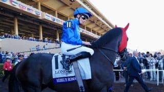 【BCターフ】レベルズロマンス今後はドバイシーマCに照準