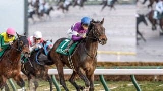 【武蔵野S枠順確定】エンペラーワケアは6枠10番、タマモロックは7枠12番