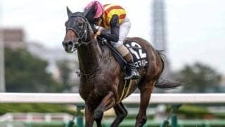 【京都JS予想】名物「3段とび」が待ち受ける難コース 暮れの大障害へ名乗りを挙げるジャンパーは？