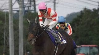 【武豊日記】大物かもしれない２頭の初陣