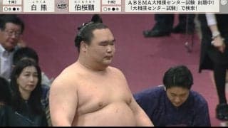 愛らしい力士の超絶キュートな化粧まわし姿にファン悶絶「可愛すぎるんだが」「見られて嬉しすぎる」