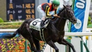 キタサンブラック産駒の“大器” 東スポ杯2歳Sで5カ月ぶり実戦