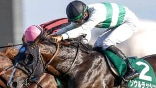 【今日の注目ポイント】京都で最強マイラー決定戦・マイルCS