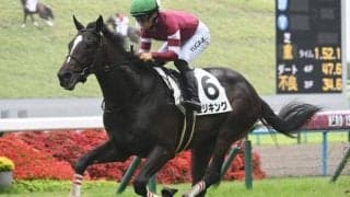 【京都2歳S展望】伝統の2歳中距離戦、持続力やスタミナが問われる