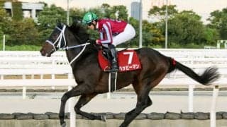 【兵庫ジュニアグランプリ】ダノンレジェンド産駒 ハッピーマンが交流重賞初制覇