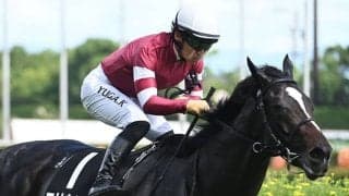 【京都2歳S予想】京都内回りは器用さが重要！ 判断基準は前走の馬体重にあり