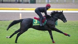 ジャパンカップ直前…強力外国勢は順調なら仕上がり