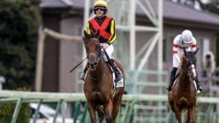 【阪神JF】ブラウンラチェット、メイデイレディらが登録