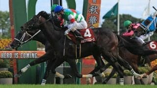 【ステイヤーズS登録馬】シュヴァリエローズなど15頭