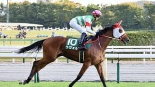 【チャレンジC登録馬】ラヴェルなど18頭