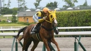 【チャレンジC見どころ】ボルドグフーシュの重賞初制覇だ