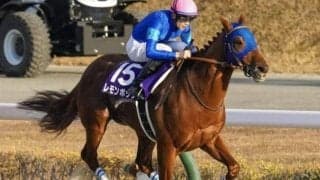 【チャンピオンズC前日オッズ】レモンポップが2.2倍で1番人気