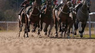 【チャンピオンズC／馬場情報】4角2番手以内が「勝利」の条件　中京ダートは例年の傾向どおり