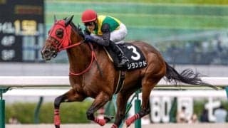 【中日新聞杯】シランケド、キングズパレスらが登録