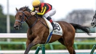 【阪神JF見どころ】無傷でGI奪取を狙うブラウンラチェット