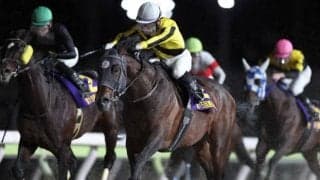 【大井・勝島王冠枠順】巻き返し図るサヨノネイチヤは5枠9番、JRAから転入のクリノドラゴンは6枠10番