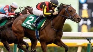 【阪神ジュベナイルF想定騎手】ブラウンラチェットはC.ルメール騎手、メイデイレディはL.デットーリ騎手