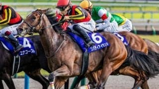 日本馬の6年連続海外G1制覇に黄色信号!? 香港国際競走に挑む9頭の“日本代表”から目が離せない